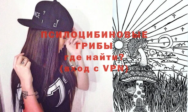 гашик Богородицк