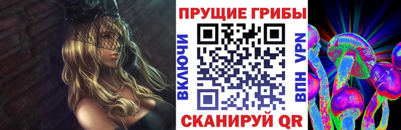 где купить наркоту  площадка состав  Псилоцибиновые грибы мицелий  Борзя 